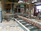 scieriegerard003005.jpg